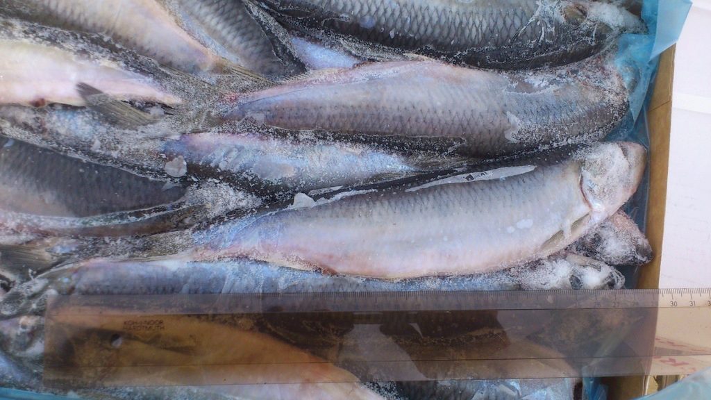 Как сделать маринад для селедки Как сделать маринад для селедки